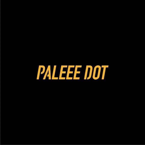 沛莉小子Paleee Dot
